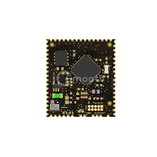 RSD51M100 - Rendeer Systems - Embedded - Microcontroller, Microprocessor, FPGA Modules
