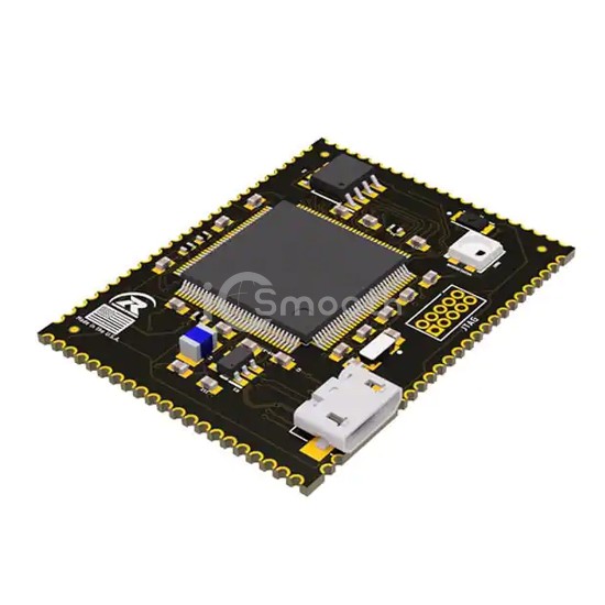 RSD51M200 - Rendeer Systems - Embedded - Microcontroller, Microprocessor, FPGA Modules