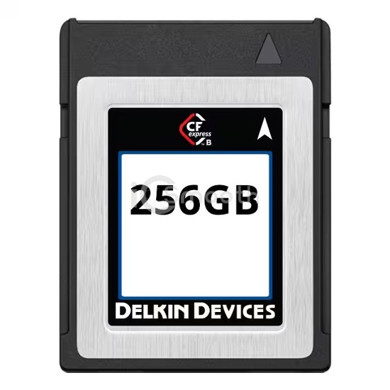 CX2HFRCFD-XN000-2 - Delkin Devices, Inc. - Memory Cards