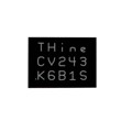 THCV243 - THine Solutions, Inc.